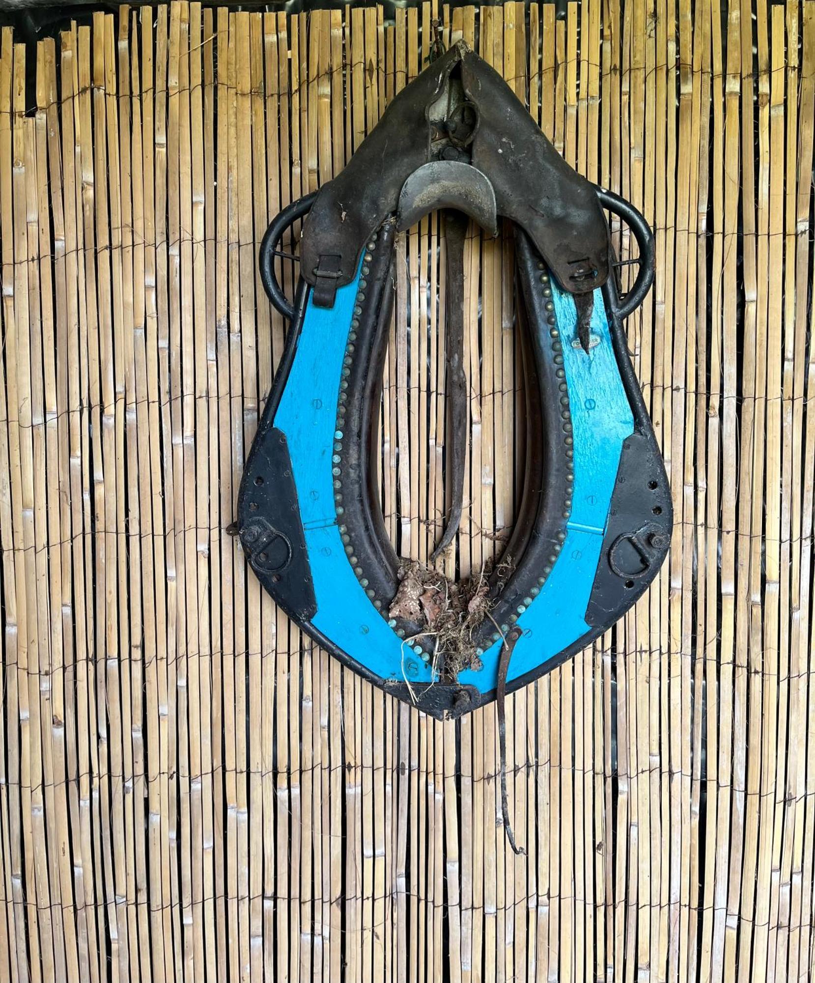 Chalet Pura Vida Périssac